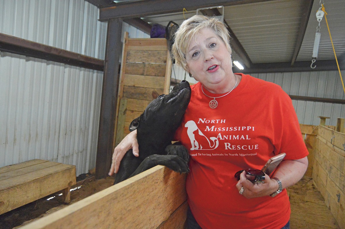 Animal rescue group getting new donated shelter space The Panolian