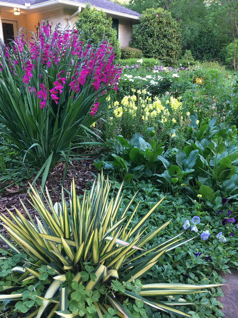 Choose plants wisely, plant them well, and don’t give up The Panolian