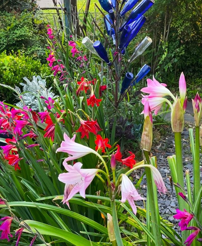 Make the versatile world of bulbs part of your garden The Panolian The Panolian